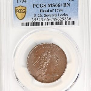 1794 FLOWING HAIR LARGE 1C, HEAD OF 1794, LIBERTY CAP, DEN MS66+ Brown